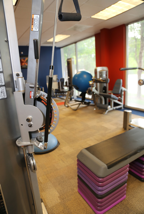 Camp Creek clinic and rehabilitation space 4